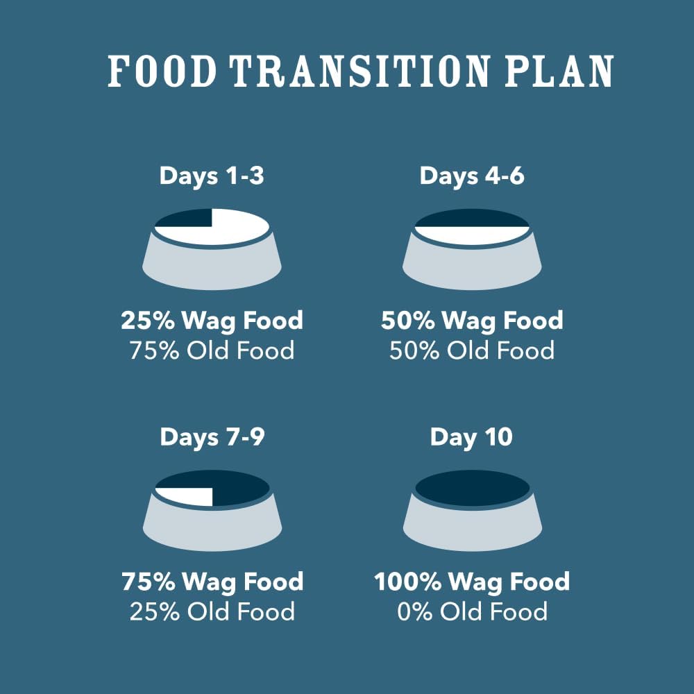 5126KvfLxrL._AC_SL1000_