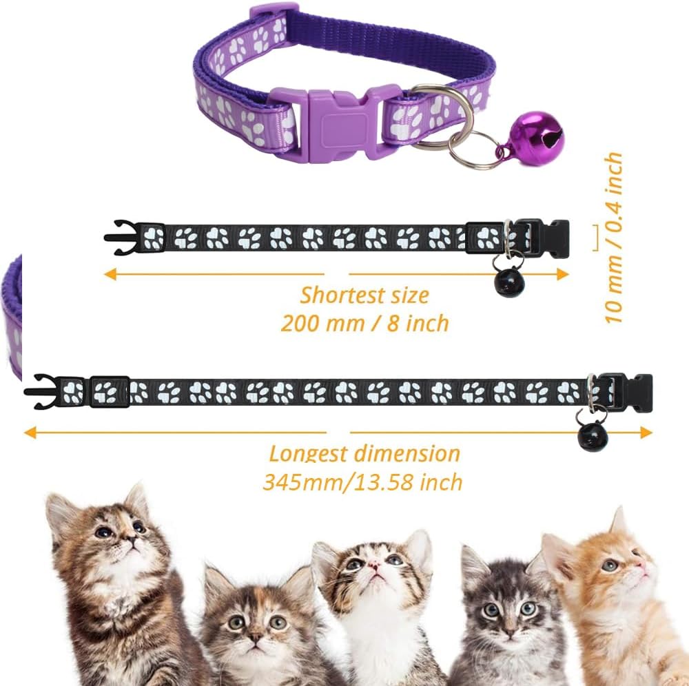 61BhUR4NC3L._AC_SL1000_