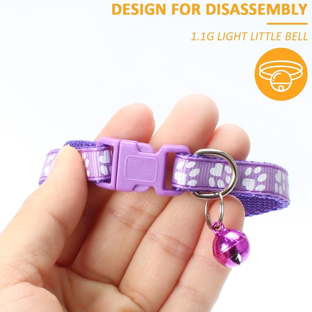 61UtXSrirKL._AC_SL1000_