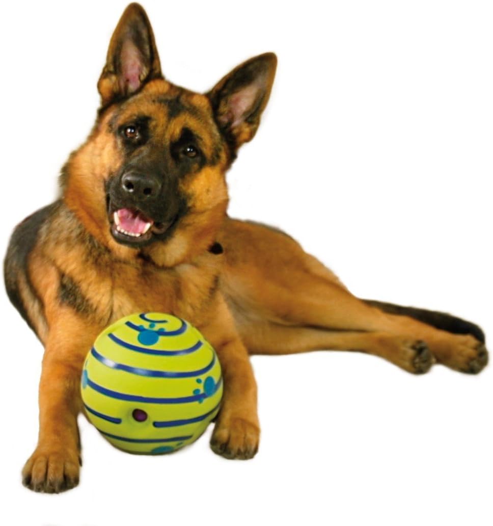 61mkpB68t4L._AC_SL1186_