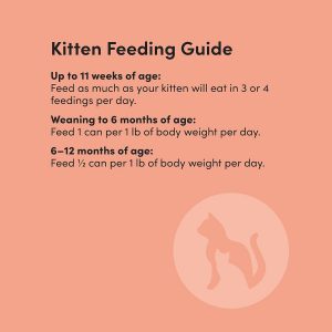 Kitzy Wet Cat Food, Chicken cuts in Gravy, Grain Free (Kitten), 3 ounce (Pack of 24)