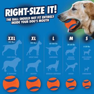 Chuckit! Ultra Duo Tug Dog Toy, Medium Indoor and Outdoor Dog Ball for Dogs 20-60 Pounds