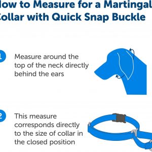 PetSafe Martingale Dog Collar with Quick-Snap Buckle – Large, 1 Inch, Royal Blue