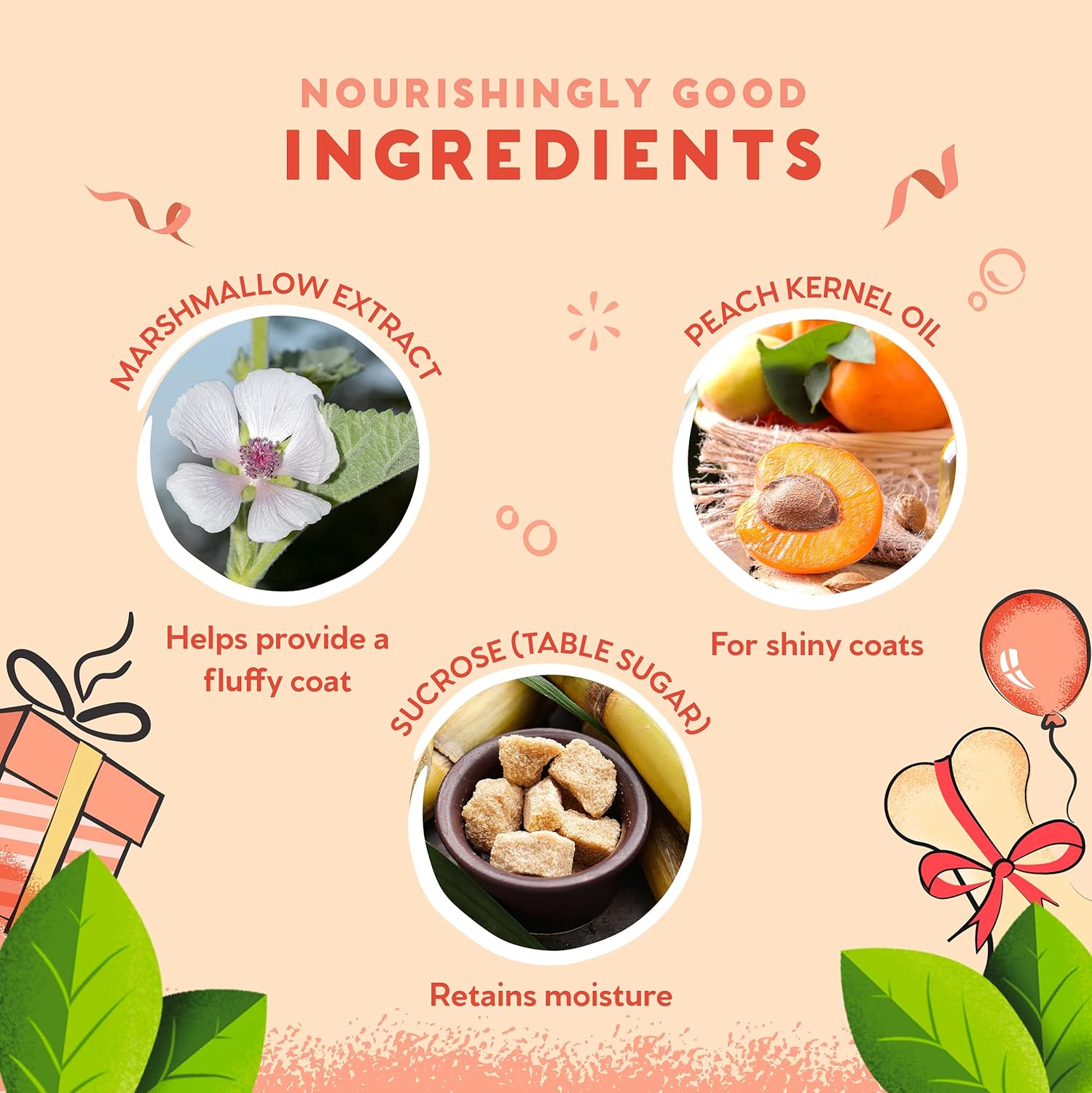 81g6Ki6bCKL._AC_SL1500_