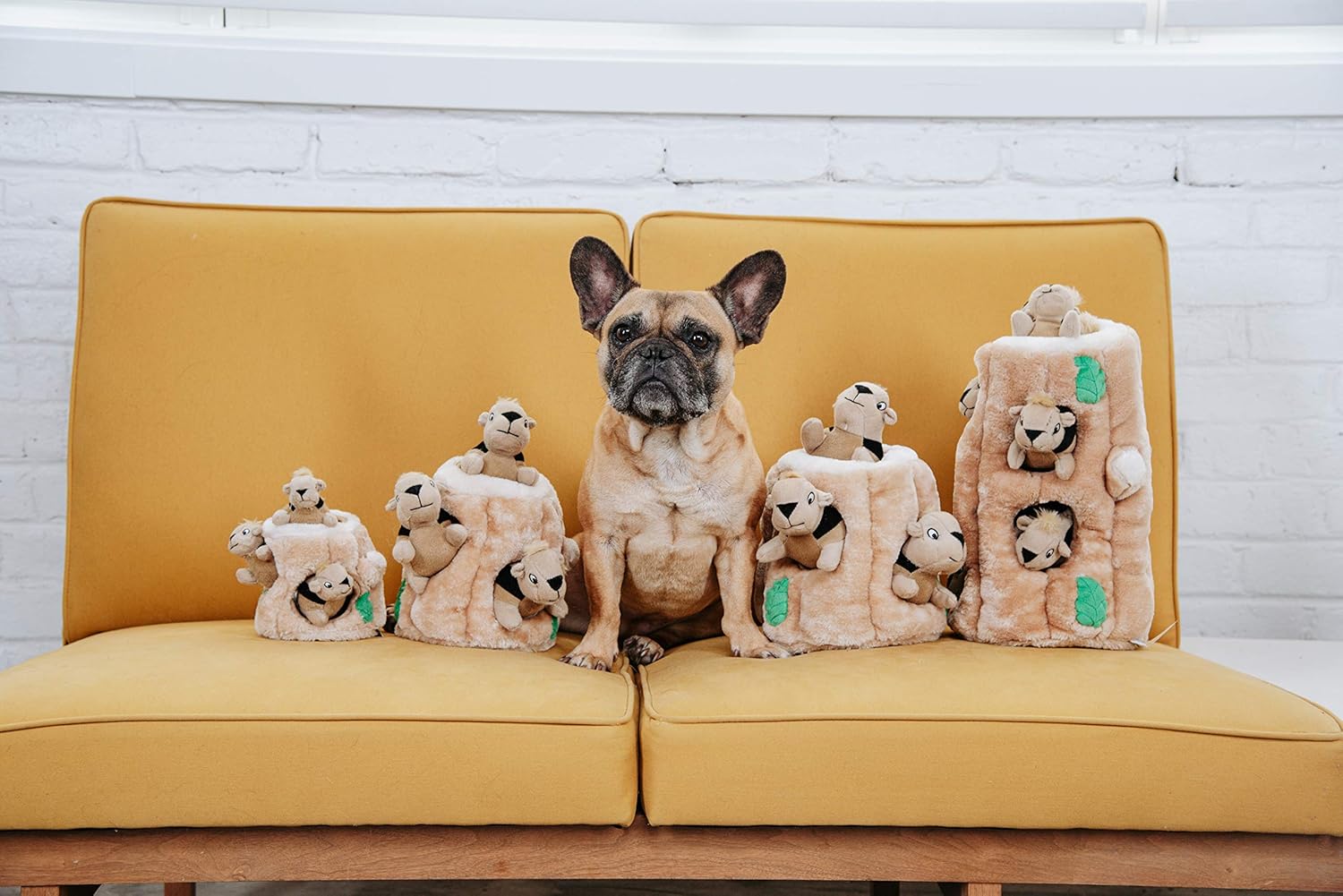 81yuoIRZCFL._AC_SL1500_