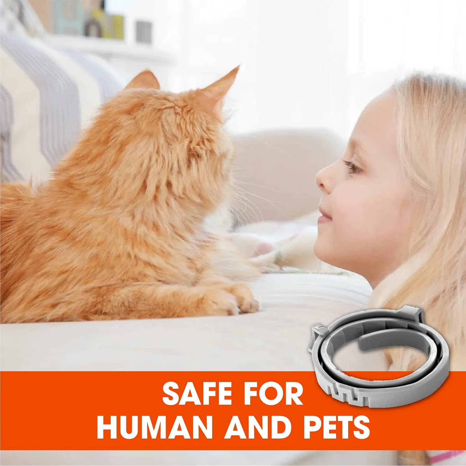 61SPT6r2V8L._AC_SL1500_