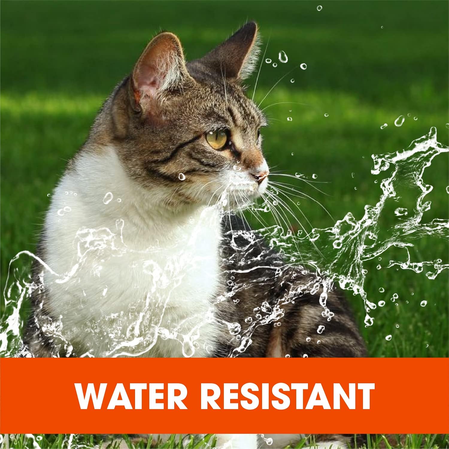 710iCCOK9mL._AC_SL1500_