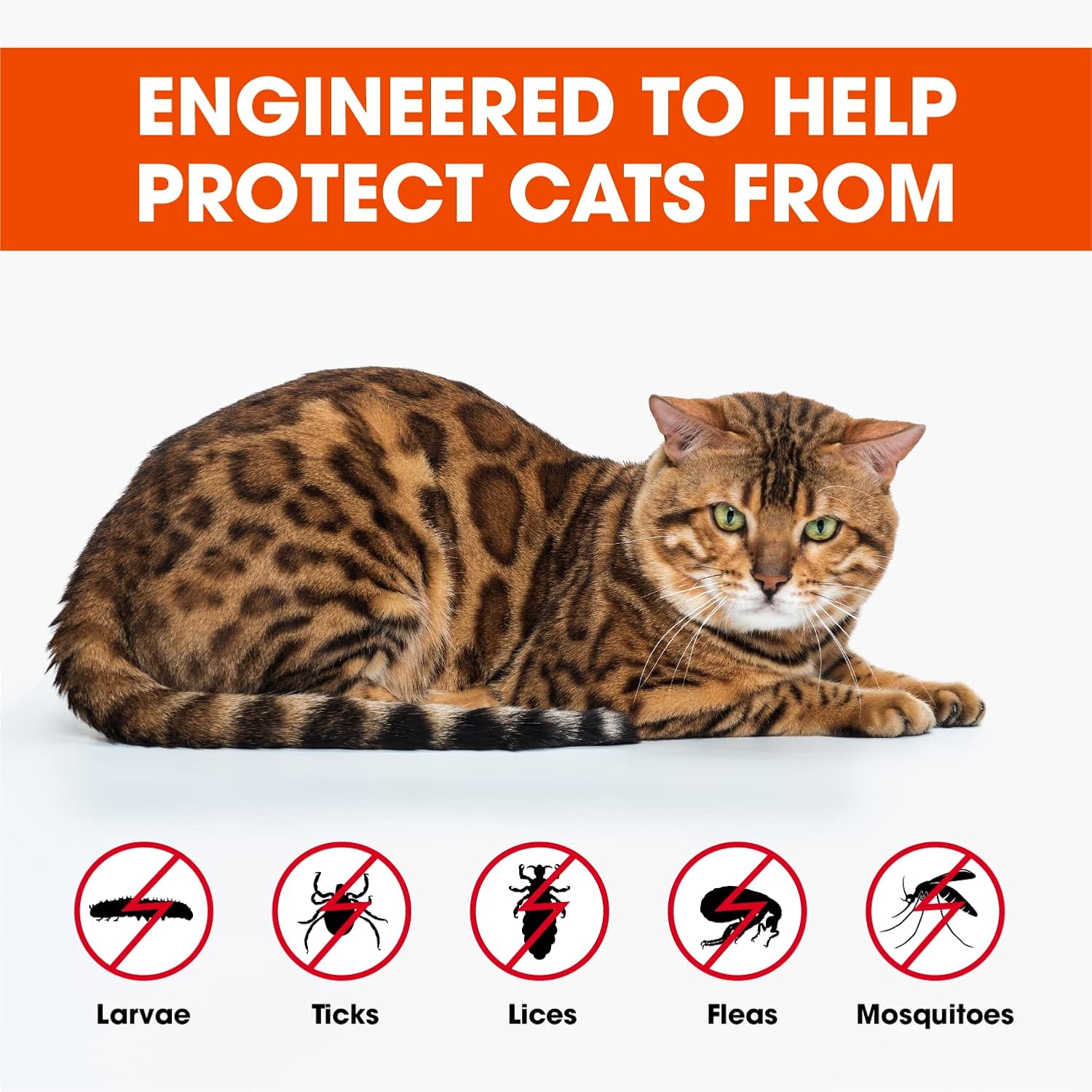 71DeUwudtsL._AC_SL1500_