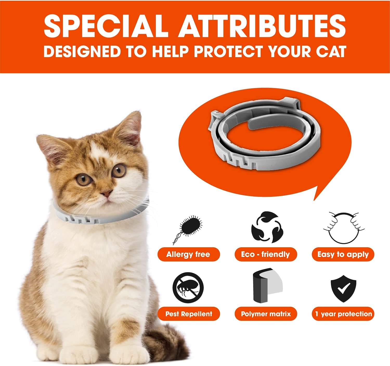 71uuwm2YSqL._AC_SL1500_